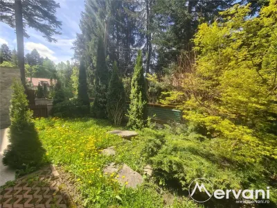 Vila de vanzare in Predeal - foto 73