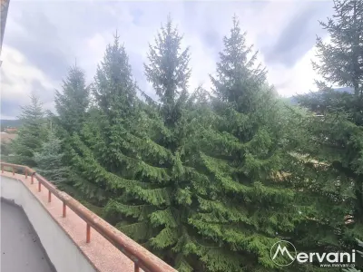 Complex turistic - Zona Piatra Arsa - foto 79