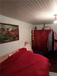 DE VANZARE CASA SAT GARA BANCA JUD VASLUI - foto 2