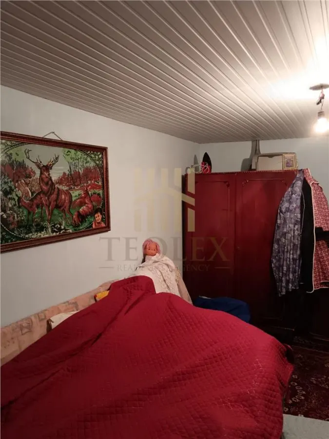 DE VANZARE CASA SAT GARA BANCA JUD VASLUI - foto 2