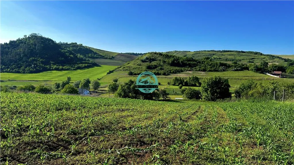 Vand teren intravilan in Sanisor cu suprafata de 4946 mp - foto 1
