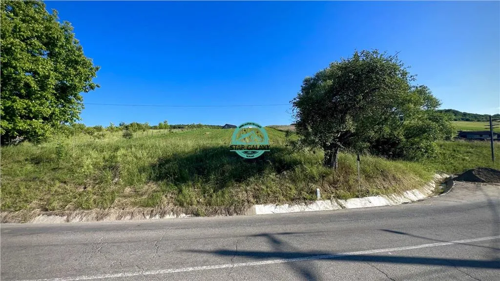 Vand teren intravilan in Sanisor cu suprafata de 4946 mp - foto 4