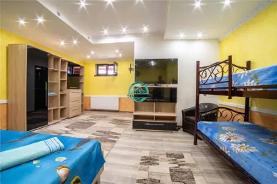 Oportunitate ! Pensiune 7 camere, 4 apartamente, 760mp utili la E60 - foto 19