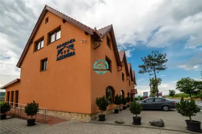 Oportunitate ! Pensiune 7 camere, 4 apartamente, 760mp utili la E60 - foto 4