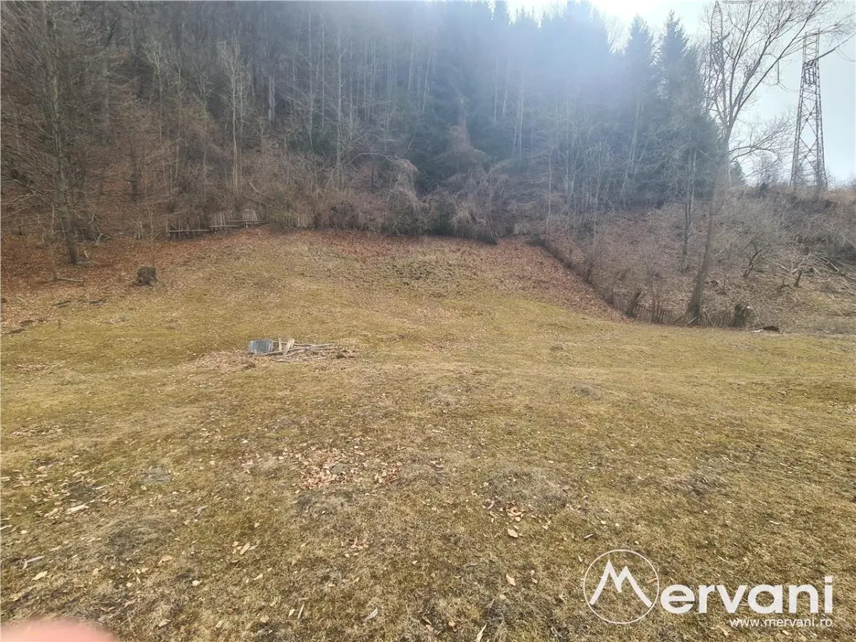 Teren de vanzare in Valea Doftanei cu priveliste si rau montan in vecinatate - foto 3