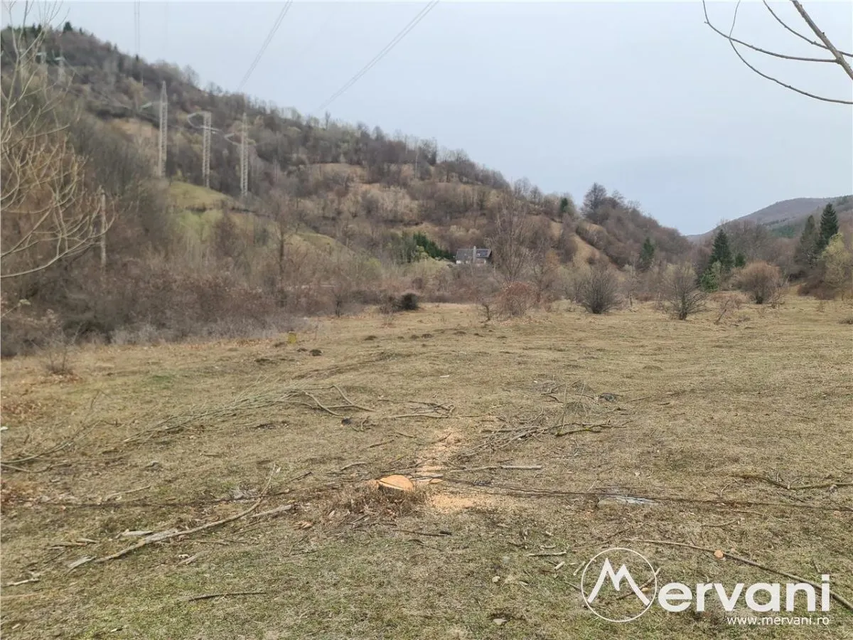 Teren de vanzare in Valea Doftanei cu priveliste si rau montan in vecinatate - foto 5