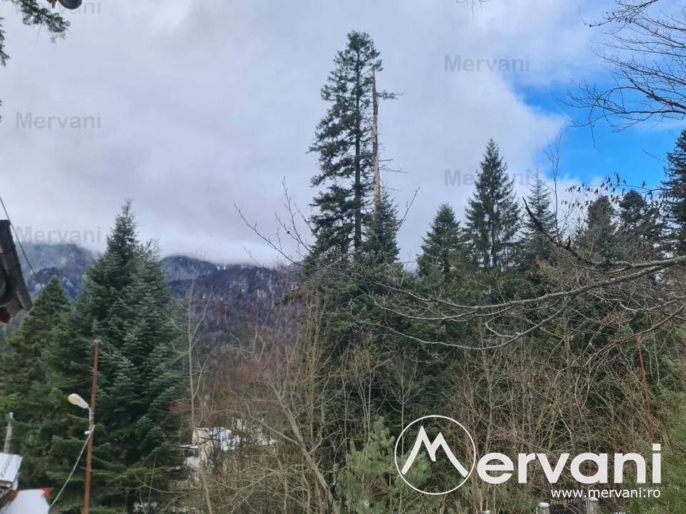 Vila de vanzare in Sinaia - foto 21