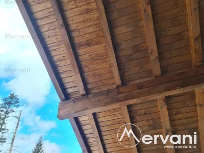 Vila de vanzare in Sinaia - foto 32
