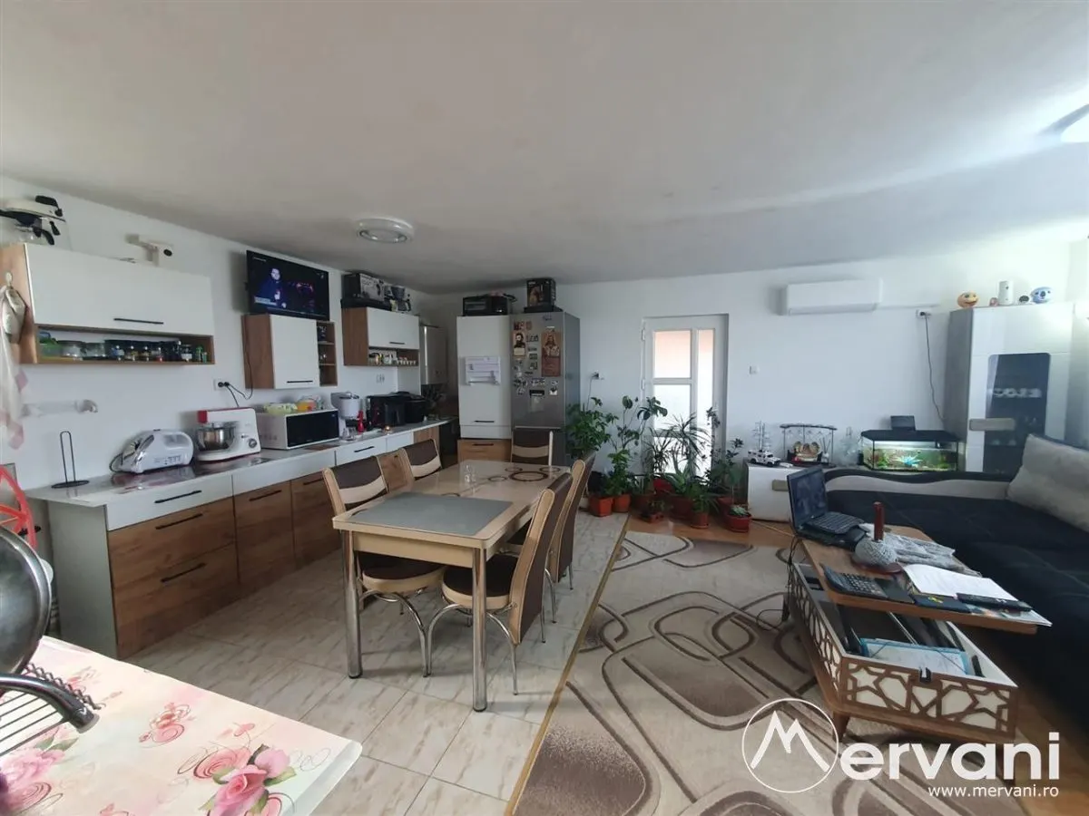 Casa Seciu cu posibilitatea preluare afacere (optional) - foto 1