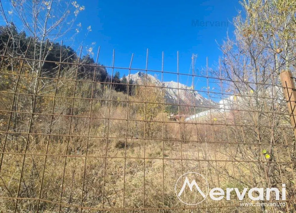 Teren intravilan de vanzare in Busteni - Zona centrala - foto 3