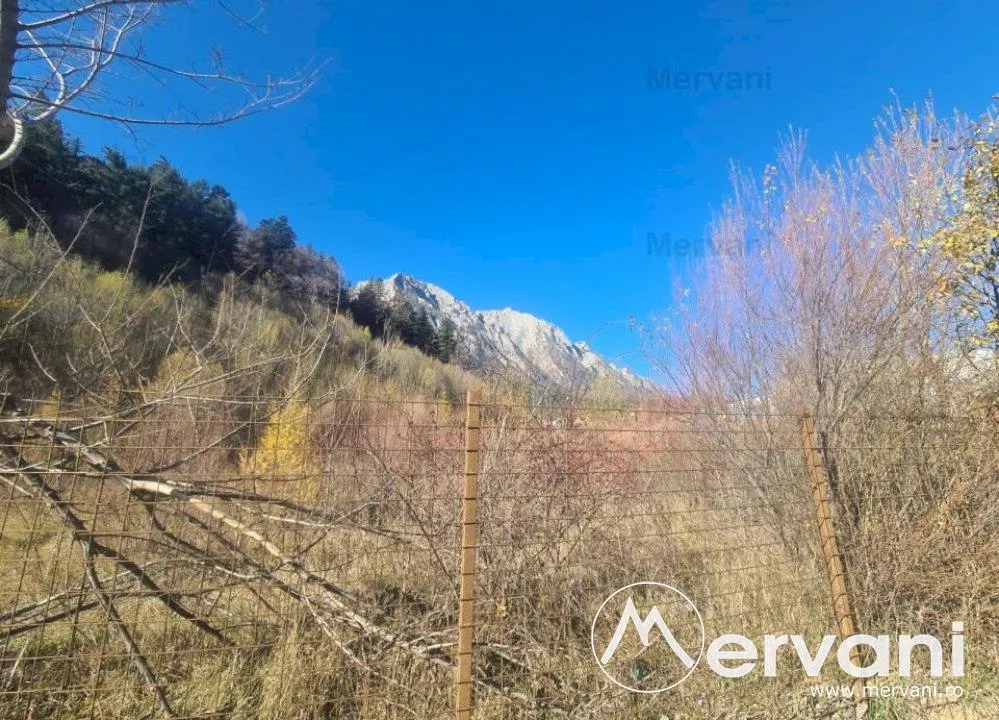 Teren intravilan de vanzare in Busteni - Zona centrala - foto 4