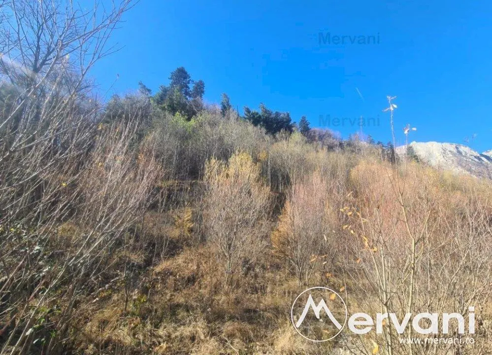 Teren intravilan de vanzare in Busteni - Zona centrala - foto 10