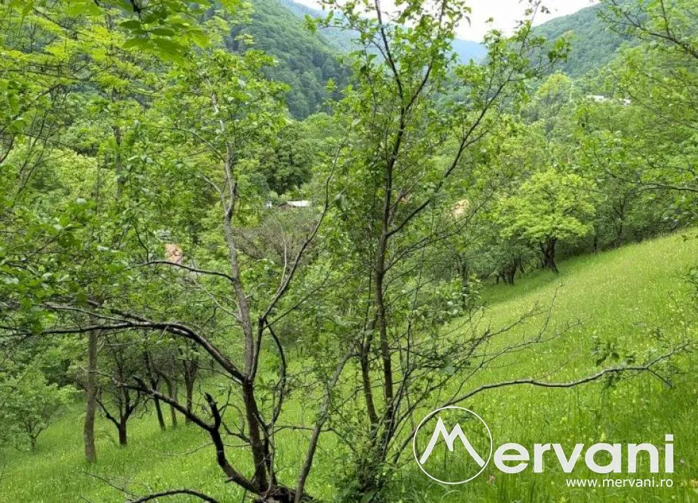 Teren de vanzare in Comarnic  - Zona Posada - foto 1