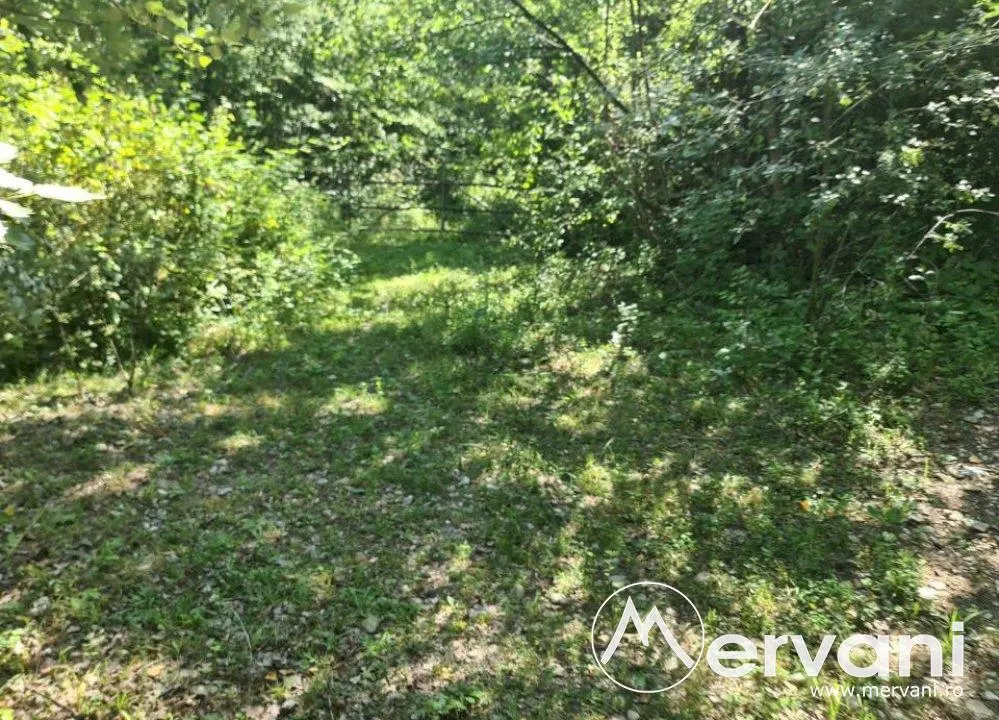 Teren de vanzare in Poiana Campina - foto 1