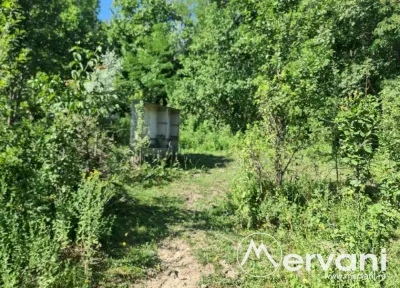 Teren de vanzare in Poiana Campina - foto 11
