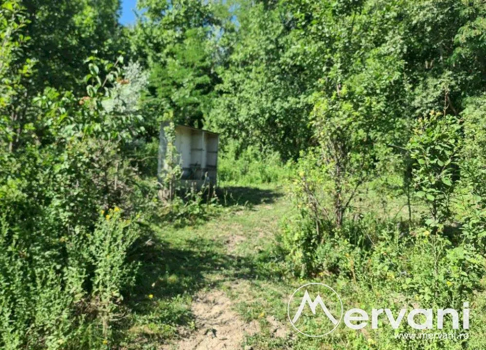 Teren de vanzare in Poiana Campina - foto 11