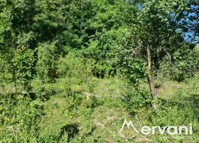 Teren de vanzare in Poiana Campina - foto 3