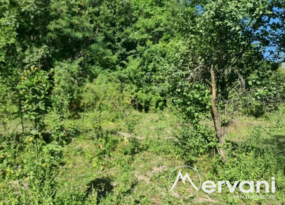 Teren de vanzare in Poiana Campina - foto 3