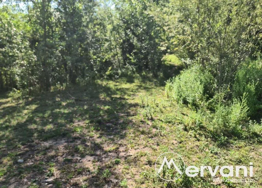 Teren de vanzare in Poiana Campina - foto 5