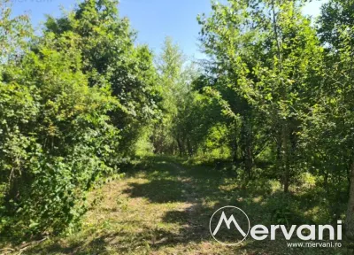 Teren de vanzare in Poiana Campina - foto 8