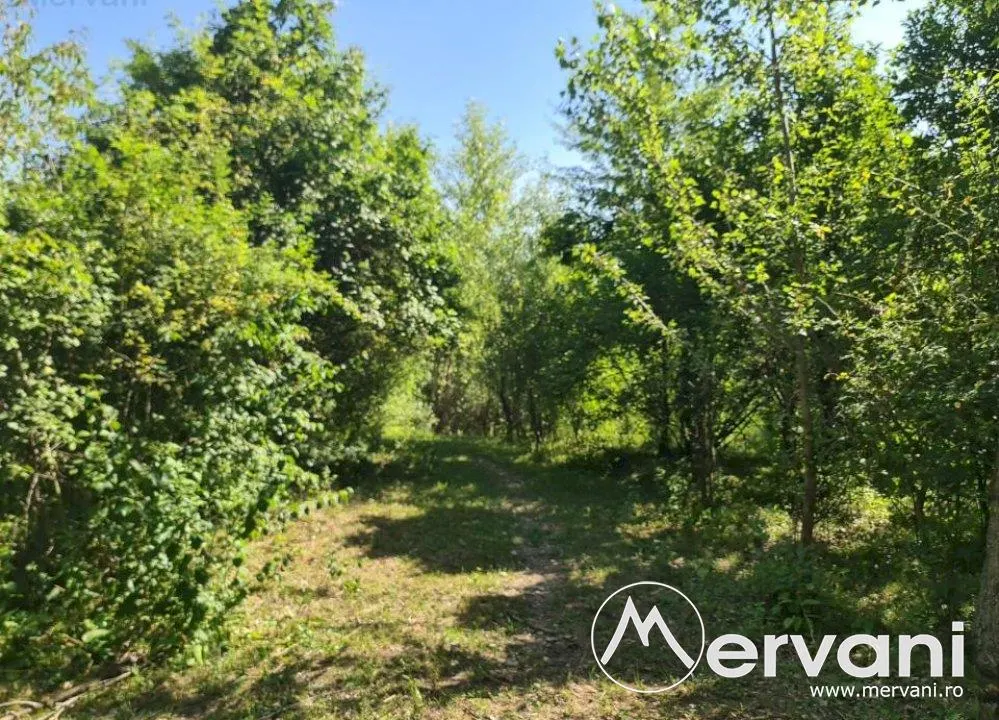 Teren de vanzare in Poiana Campina - foto 8