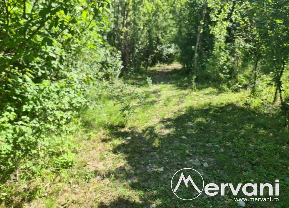 Teren de vanzare in Poiana Campina - foto 9