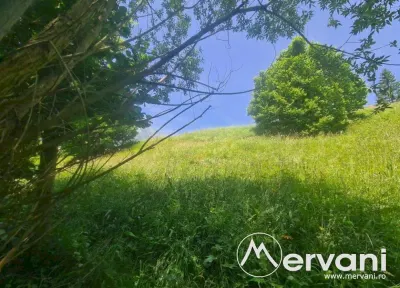 Teren de vanzare in Busteni - Zona Zamora - Busteni