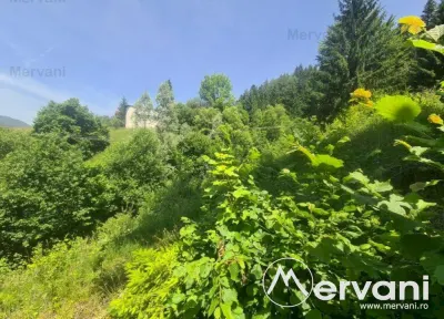 Teren de vanzare in Busteni - Zona Zamora - foto 2