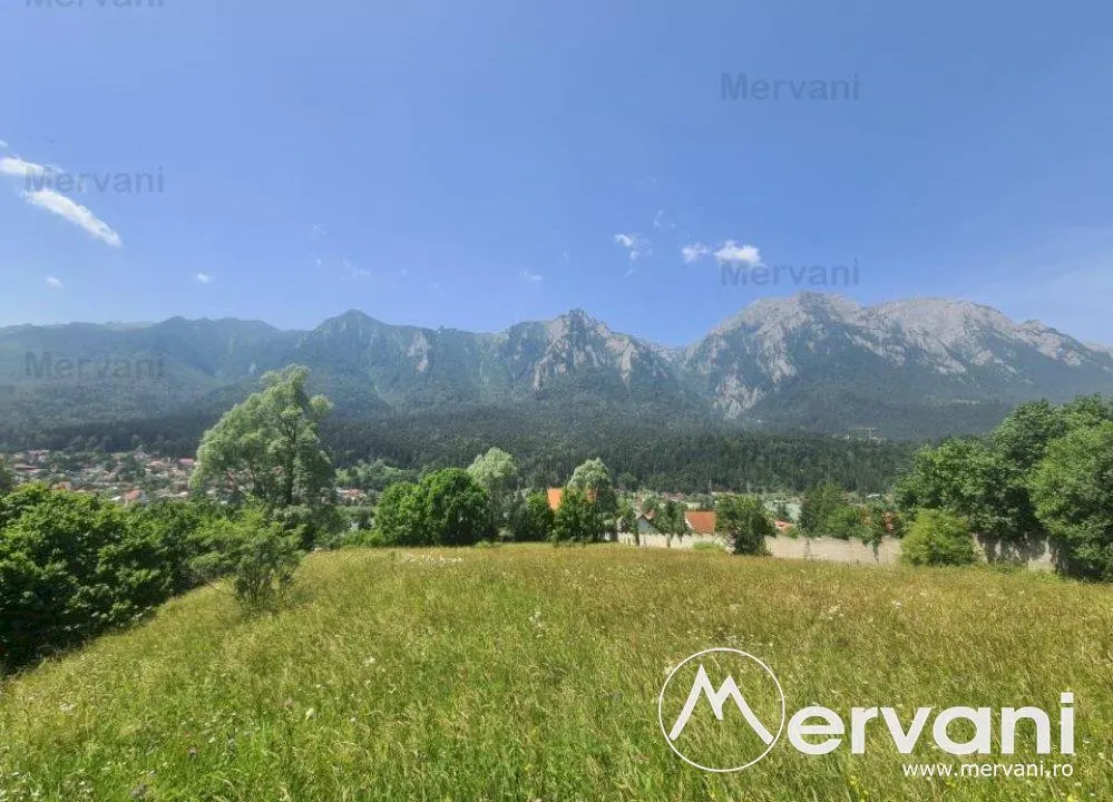 Teren de vanzare in Busteni - Zona Zamora - foto 12