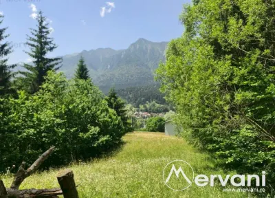 Teren de vanzare in Busteni - Zona Zamora - foto 5