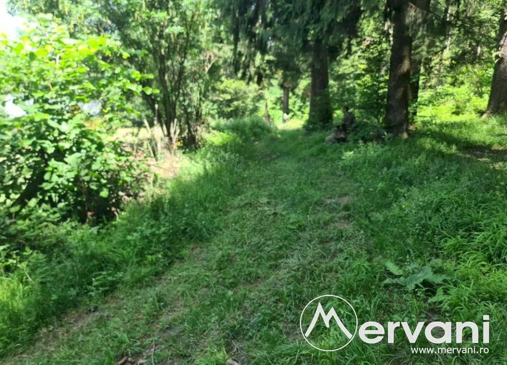 Teren de vanzare in Busteni - Zona Zamora - foto 7