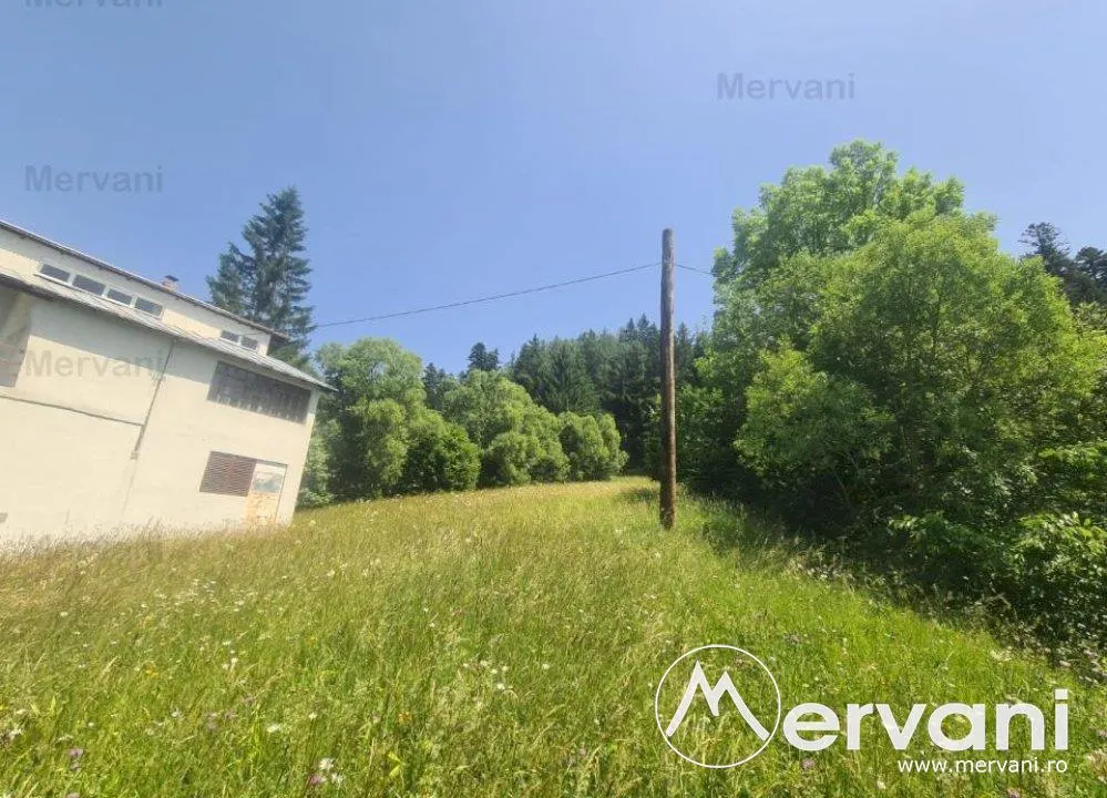 Teren de vanzare in Busteni - Zona Zamora - foto 8