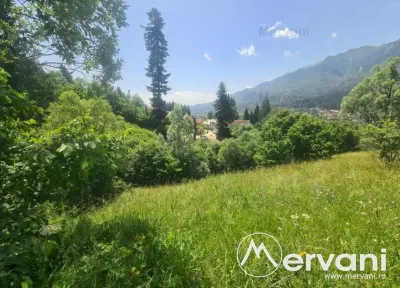 Teren de vanzare in Busteni - Zona Zamora - foto 10