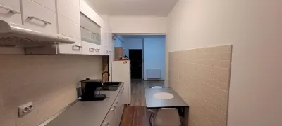 Apartament 2 camere, parcare inclusă, mobilat – Tătărași Flux - foto 6