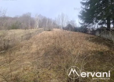 Teren de vanzare in Busteni - foto 3