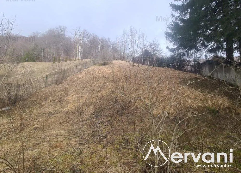 Teren de vanzare in Busteni - foto 3
