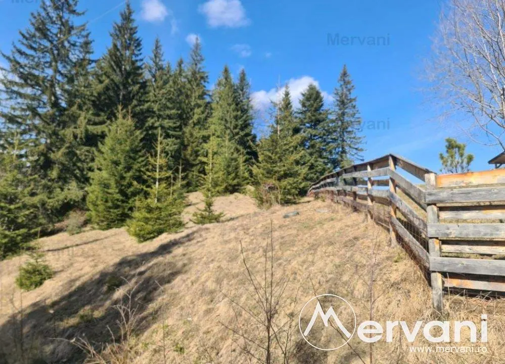 Teren de vanzare in Predeal - Zona Forban - foto 1