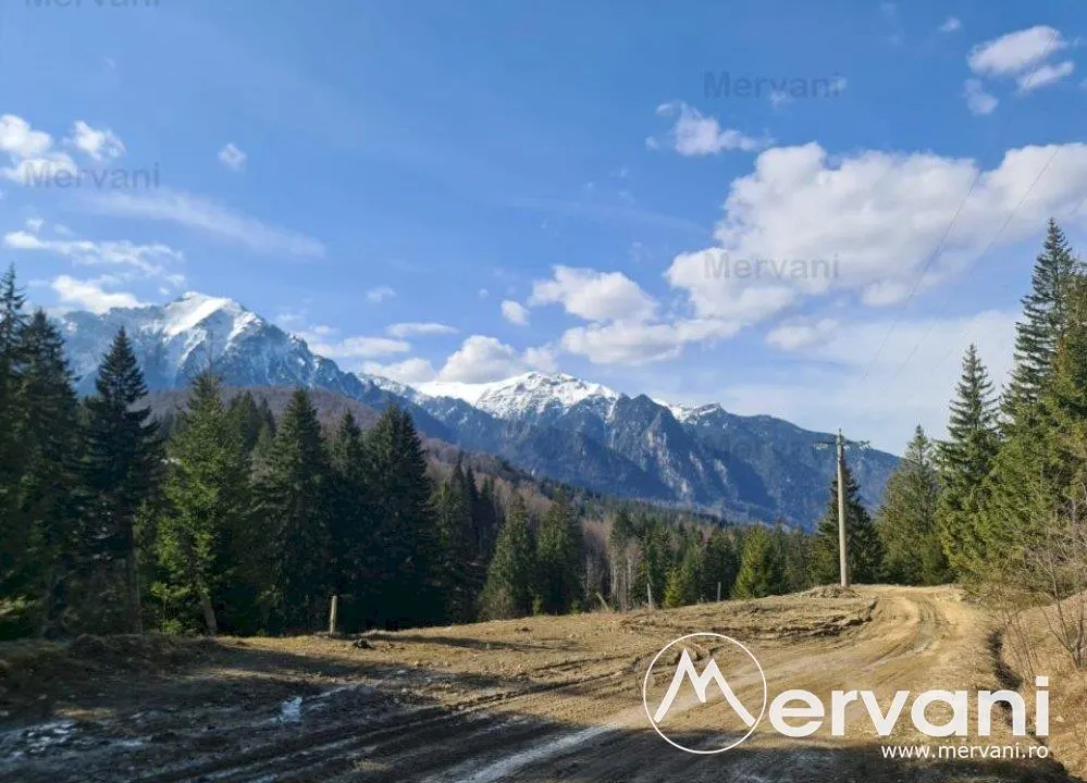 Teren de vanzare in Predeal - Zona Forban - foto 3