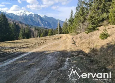 Teren de vanzare in Predeal - Zona Forban - foto 4
