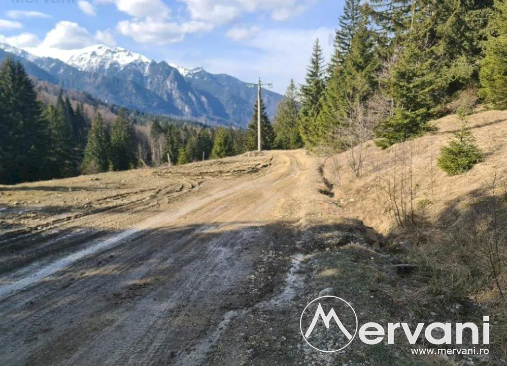 Teren de vanzare in Predeal - Zona Forban - foto 4