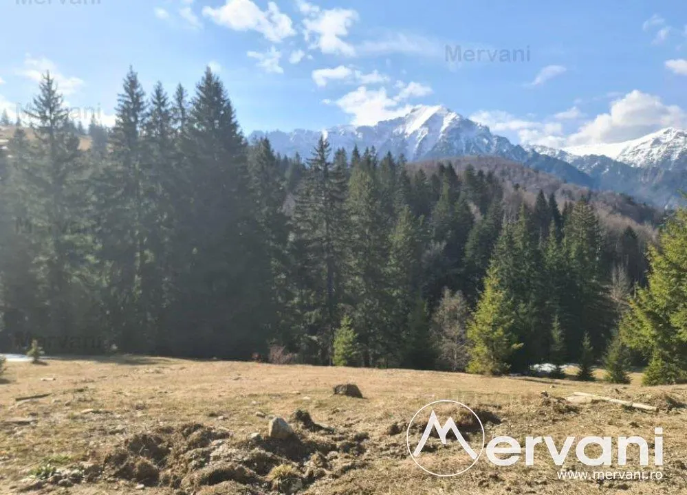Teren de vanzare in Predeal - Zona Forban - foto 5