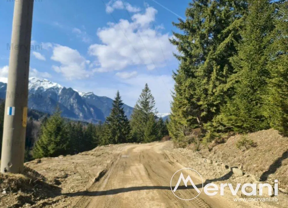 Teren de vanzare in Predeal - Zona Forban - foto 6