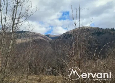 Teren de vanzare in Sinaia - Zona Platou Izvor - foto 11