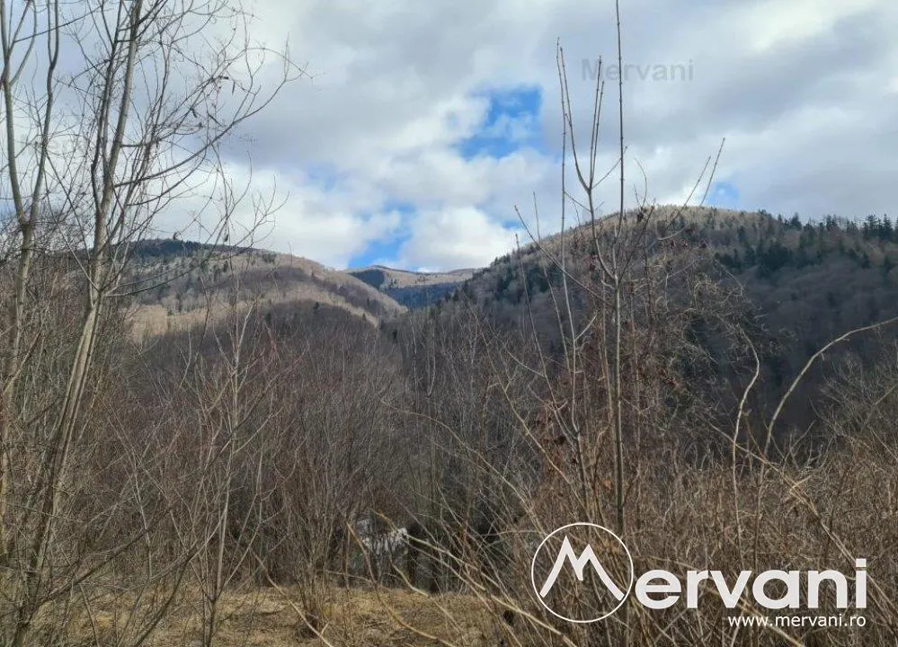 Teren de vanzare in Sinaia - Zona Platou Izvor - foto 11