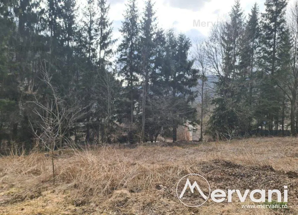 Teren de vanzare in Sinaia - Zona Platou Izvor - foto 6