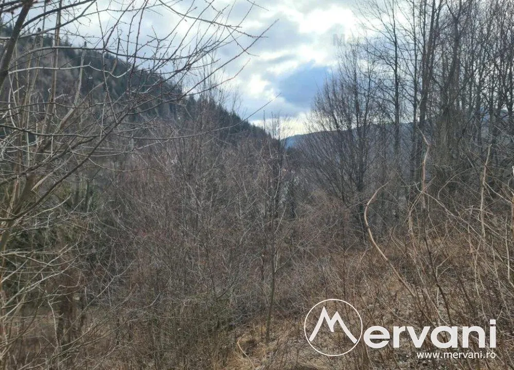 Teren de vanzare in Sinaia - Zona Platou Izvor - foto 8