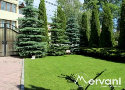 Vila de vanzare in Busteni (zona Poiana Tapului) - foto 4