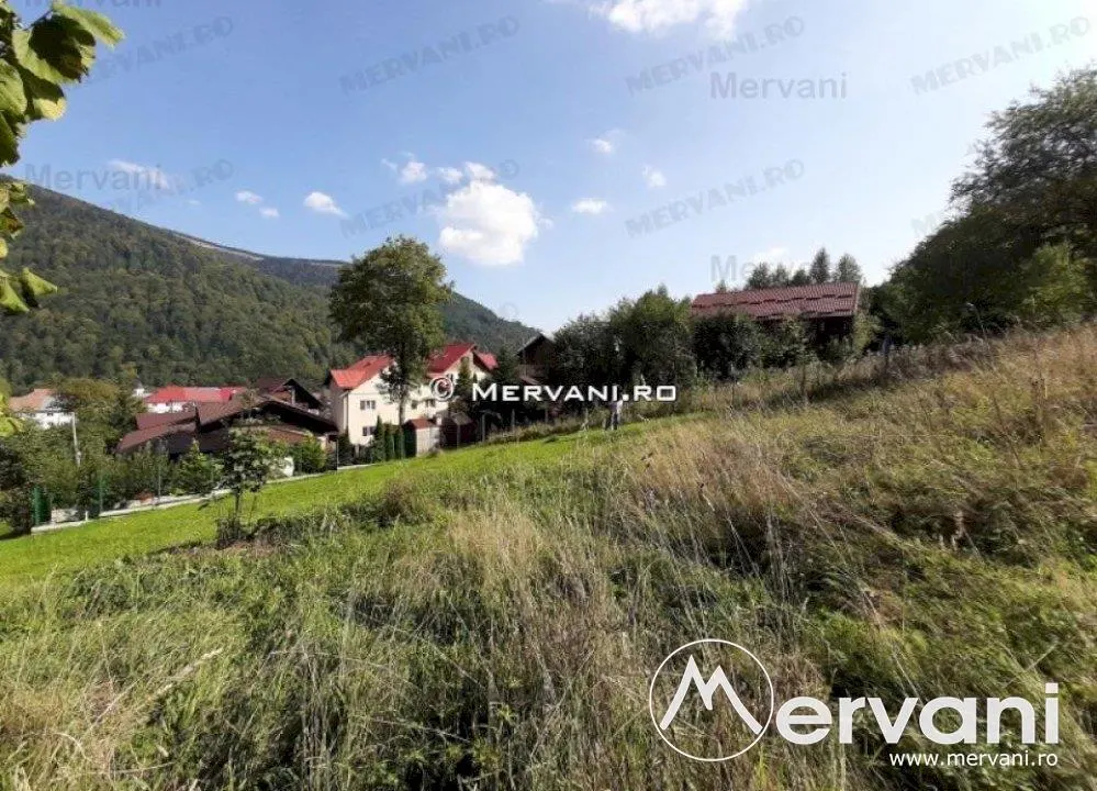 Teren de vanzare in Sinaia (zona Platoul Izvor) - foto 3