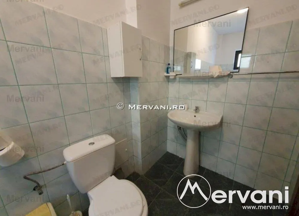 Vila de vanzare in Busteni (zona Zamora) - foto 10