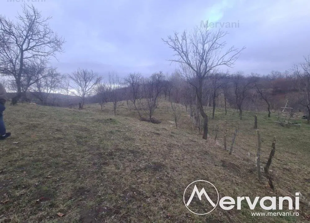 Teren Intravilan de Vanzare Comarnic - foto 1